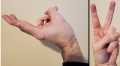 Thumbnail for version as of 02:07, 18 April 2020