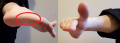 Thumbnail for version as of 19:19, 17 April 2020